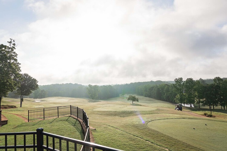 Greens of a golf course