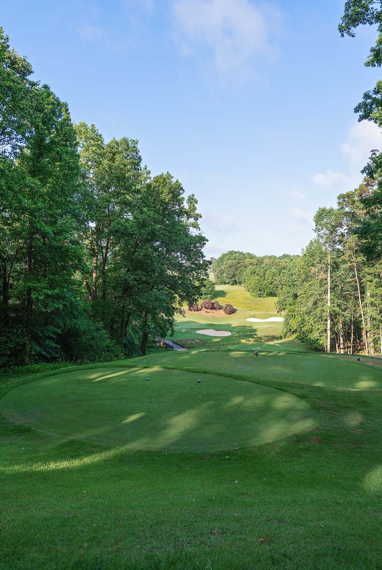 Golf course landscape