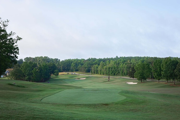 Golf course beside a forest